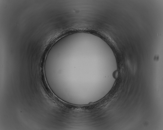 X0000091690635200708231131