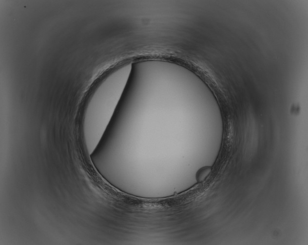 X0000091690636200708231131