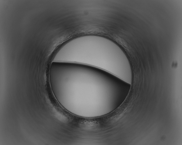 X0000091690638200708231131