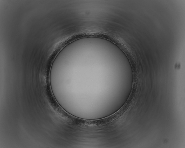 X0000091690640200708231131