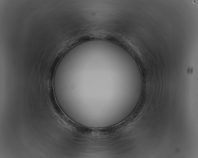 X0000091690641200708231131