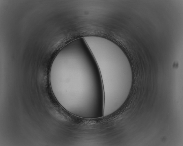 X0000091690642200708231131