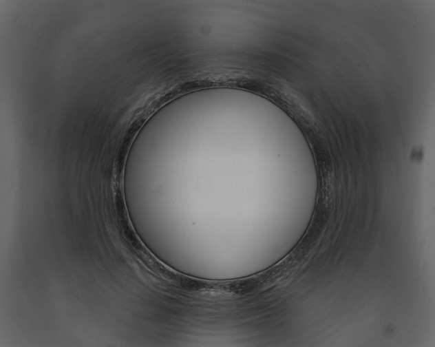 X0000091690644200708231131