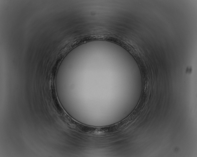 X0000091690647200708231131