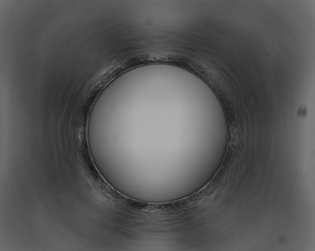 X0000091690648200708231131