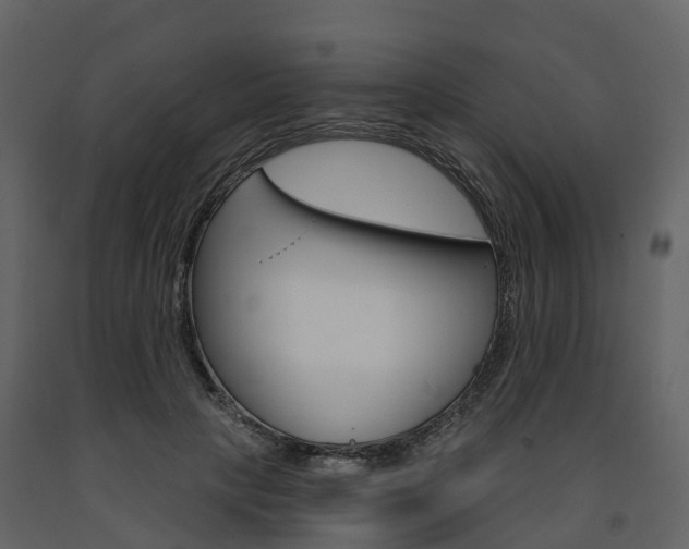 X0000091690649200708231131
