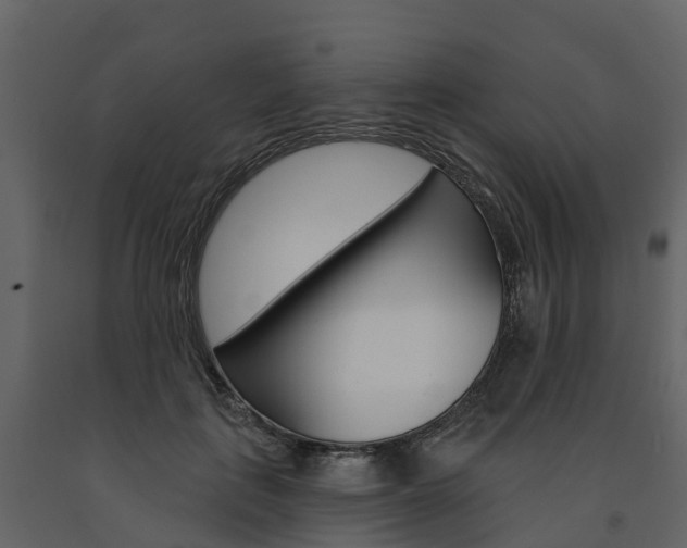 X0000091690651200708231131