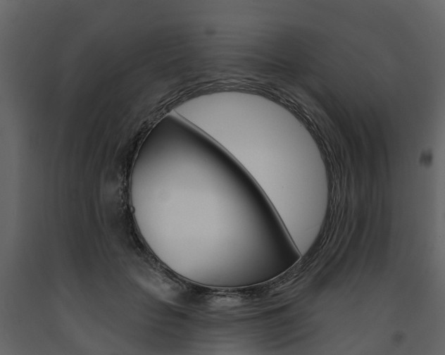X0000091690653200708231131