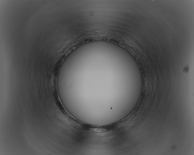 X0000091690654200708231131