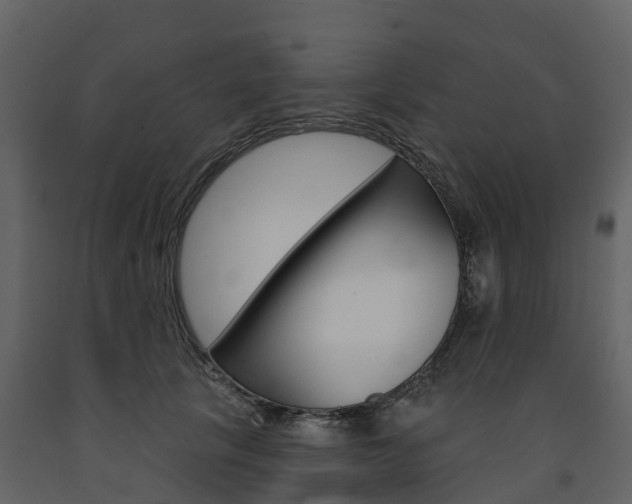 X0000091690657200708231132