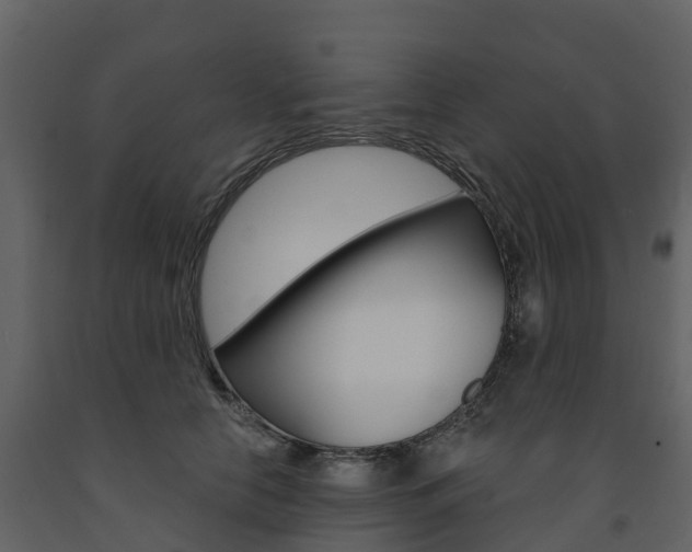 X0000091690658200708231132
