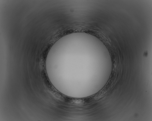 X0000091690659200708231132