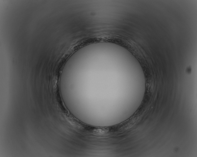 X0000091690660200708231132