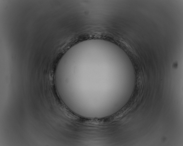 X0000091690661200708231132