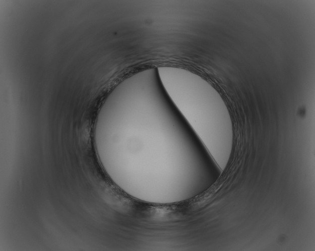 X0000091690662200708231132