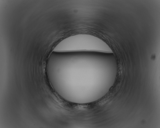 X0000091690664200708231132