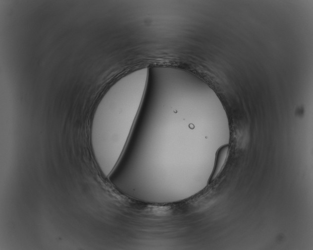 X0000091690665200708231132