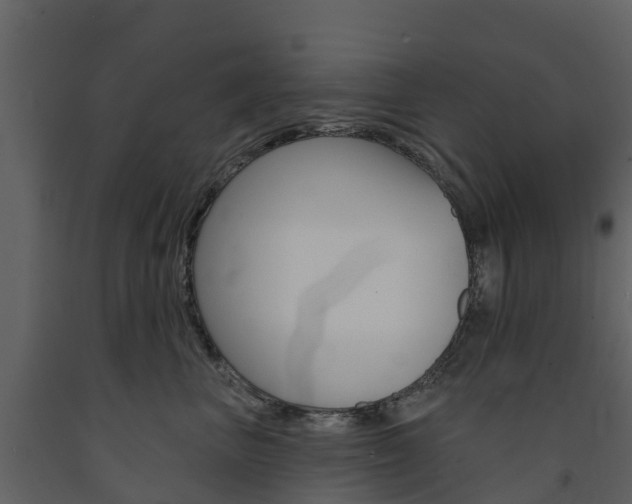 X0000091690667200708231132