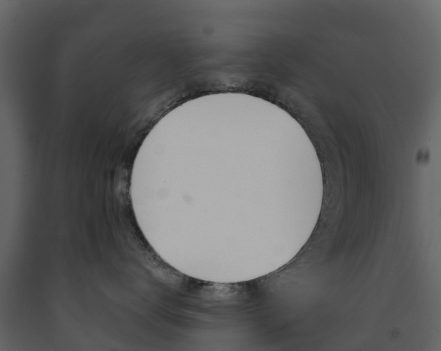 X0000091690672200708231132