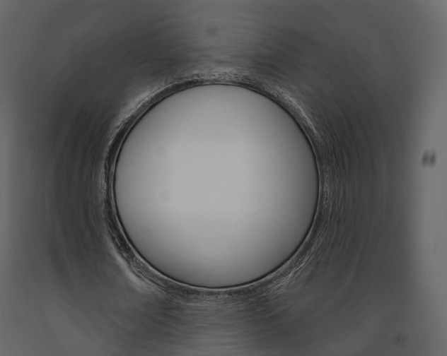 X0000091690674200708231131