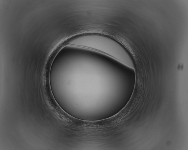 X0000091690676200708231131