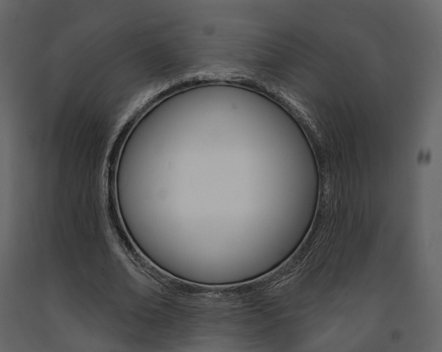 X0000091690678200708231131