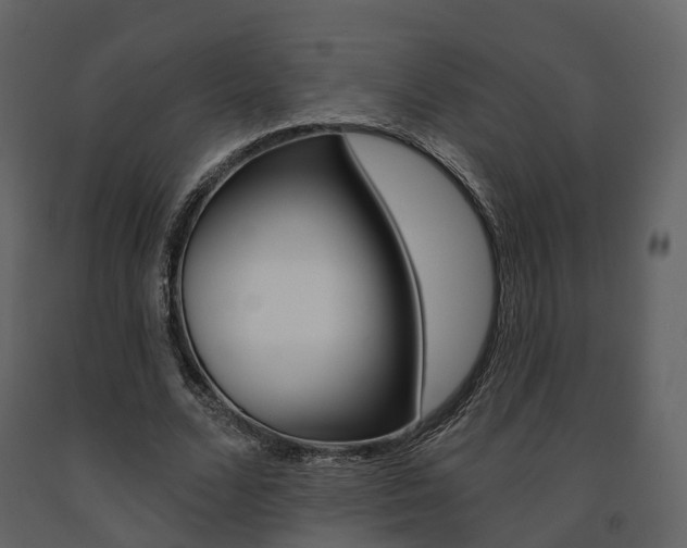 X0000091690680200708231131