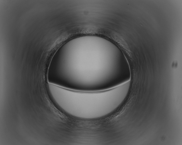 X0000091690681200708231131
