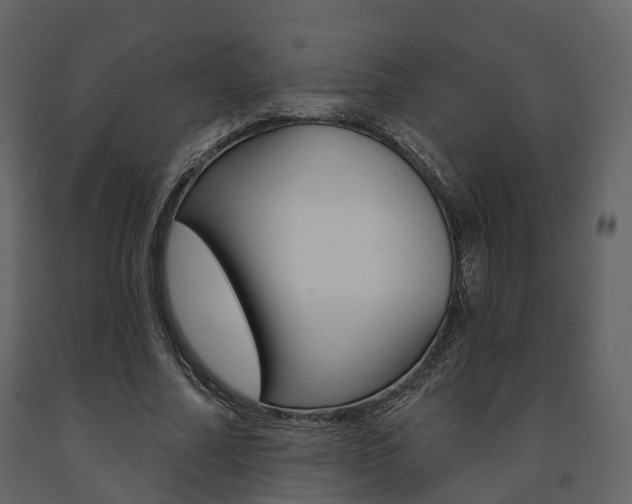 X0000091690682200708231131