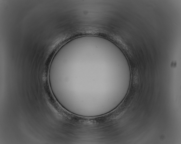 X0000091690683200708231131