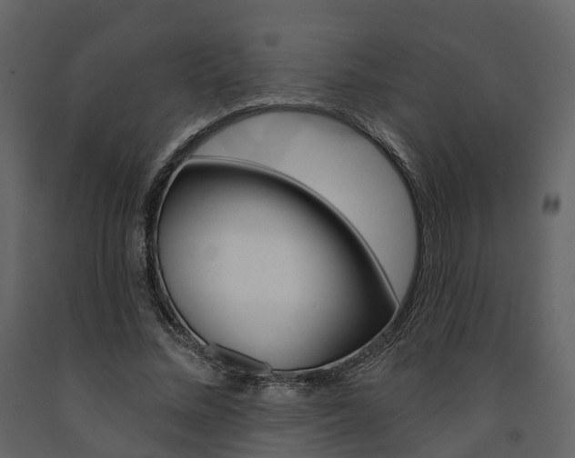 X0000091690684200708231131