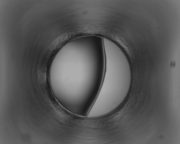 X0000091690685200708231131