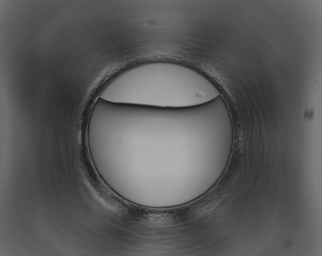 X0000091690686200708231131