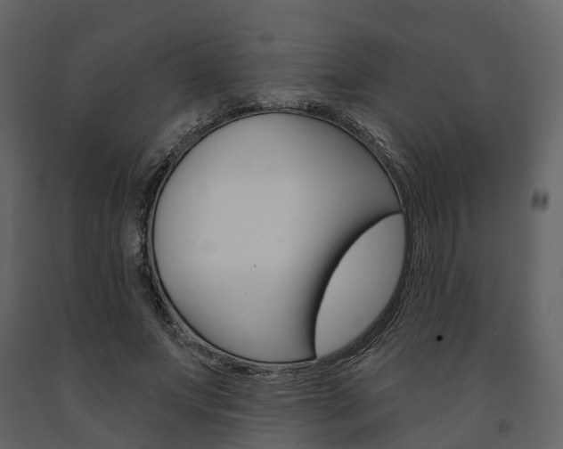 X0000091690687200708231131