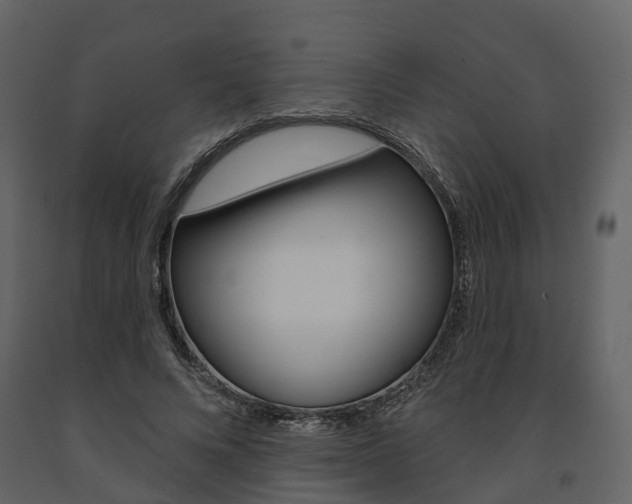 X0000091690688200708231131