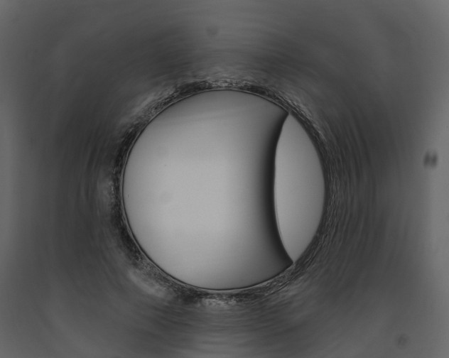 X0000091690690200708231131
