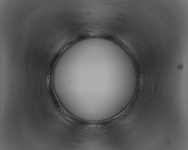 X0000091690691200708231131