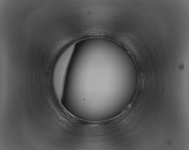 X0000091690692200708231131