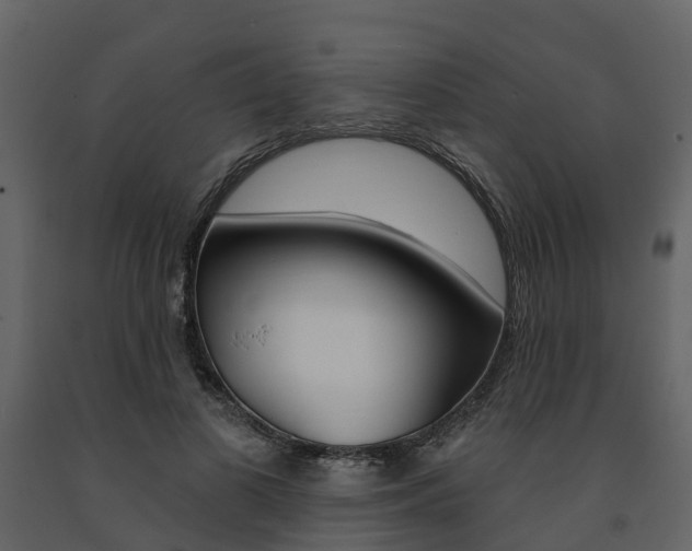 X0000091690693200708231131