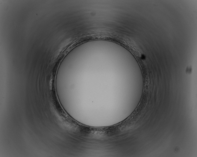 X0000091690694200708231131