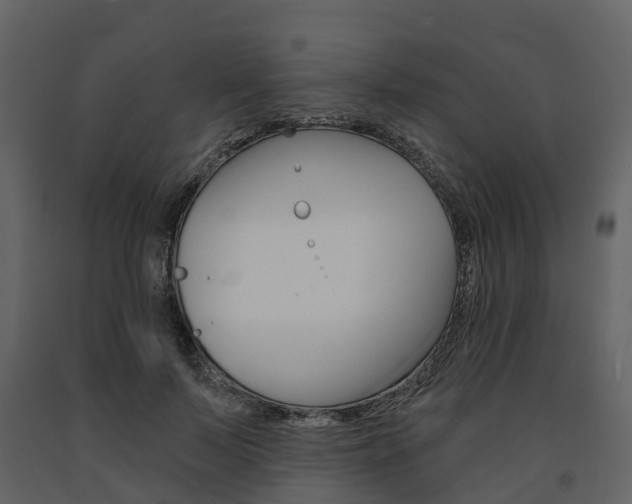 X0000091690695200708231131