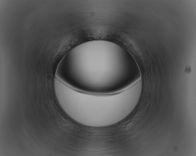 X0000091690697200708231131