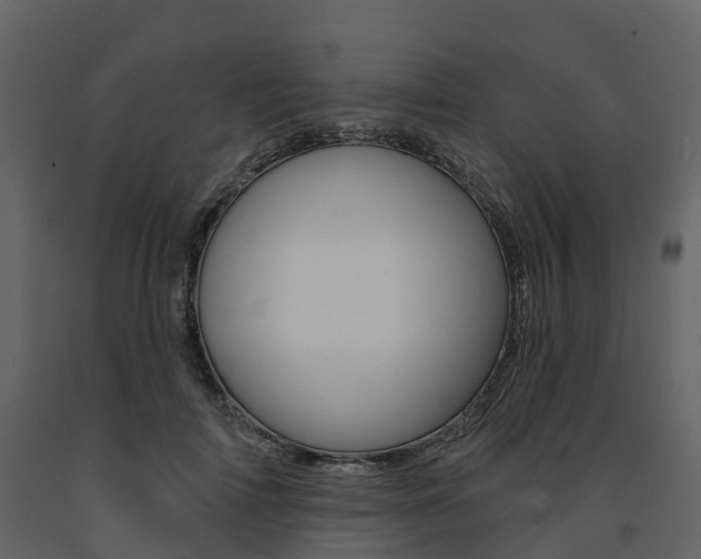 X0000091690698200708231131