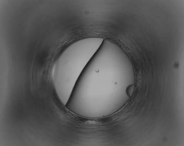 X0000091690699200708231131