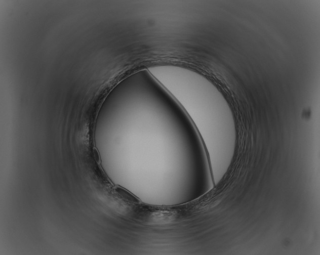 X0000091690700200708231131