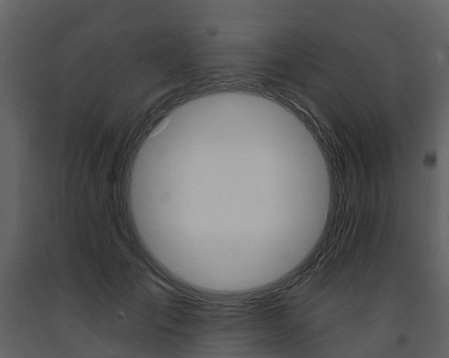 X0000091690701200708231131