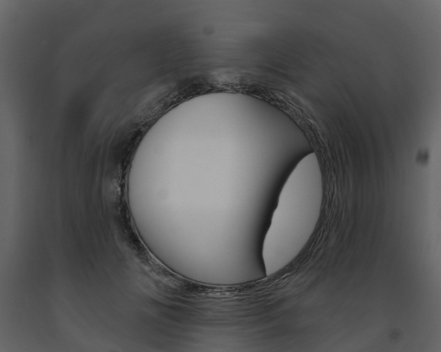 X0000091690702200708231131