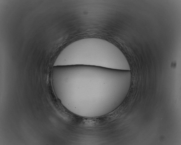 X0000091690703200708231131