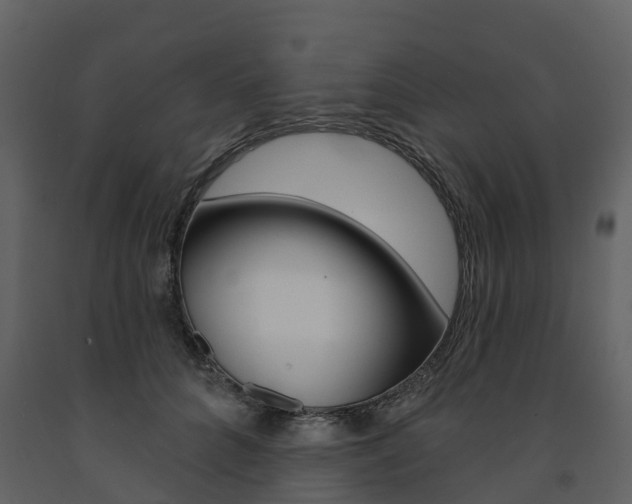 X0000091690704200708231131