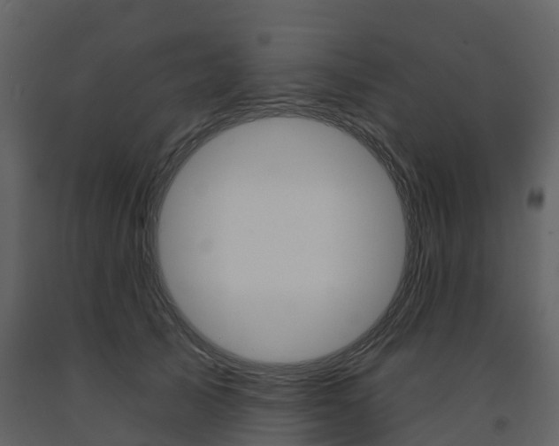 X0000091690705200708231131
